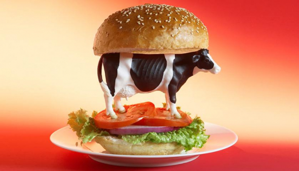 4. Na hamburgery padlo 2 200 tun hovězího masa.