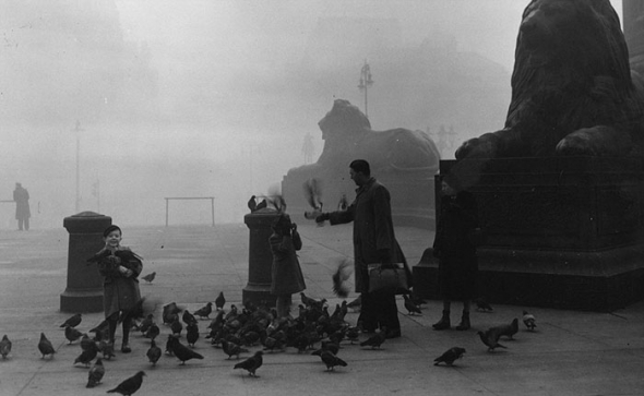 9. Rodina krmí holuby na Trafalgarském náměstí, 1952
